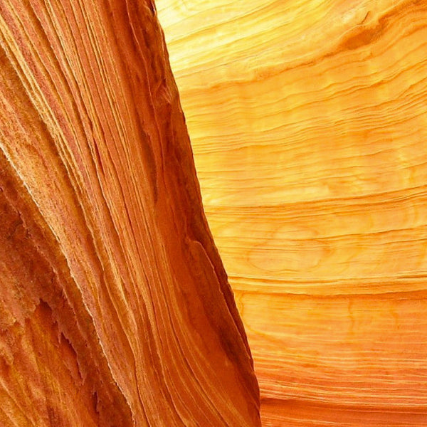 Test Product the Second